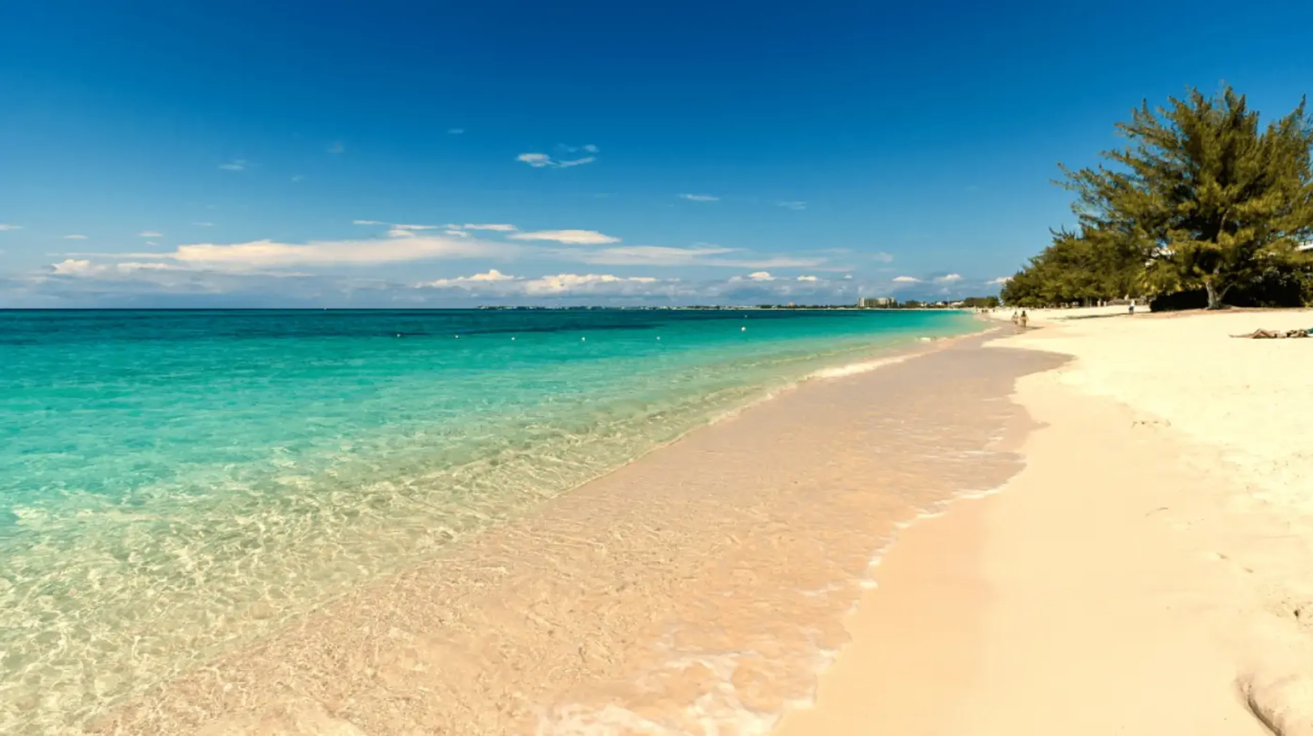 Hero background image