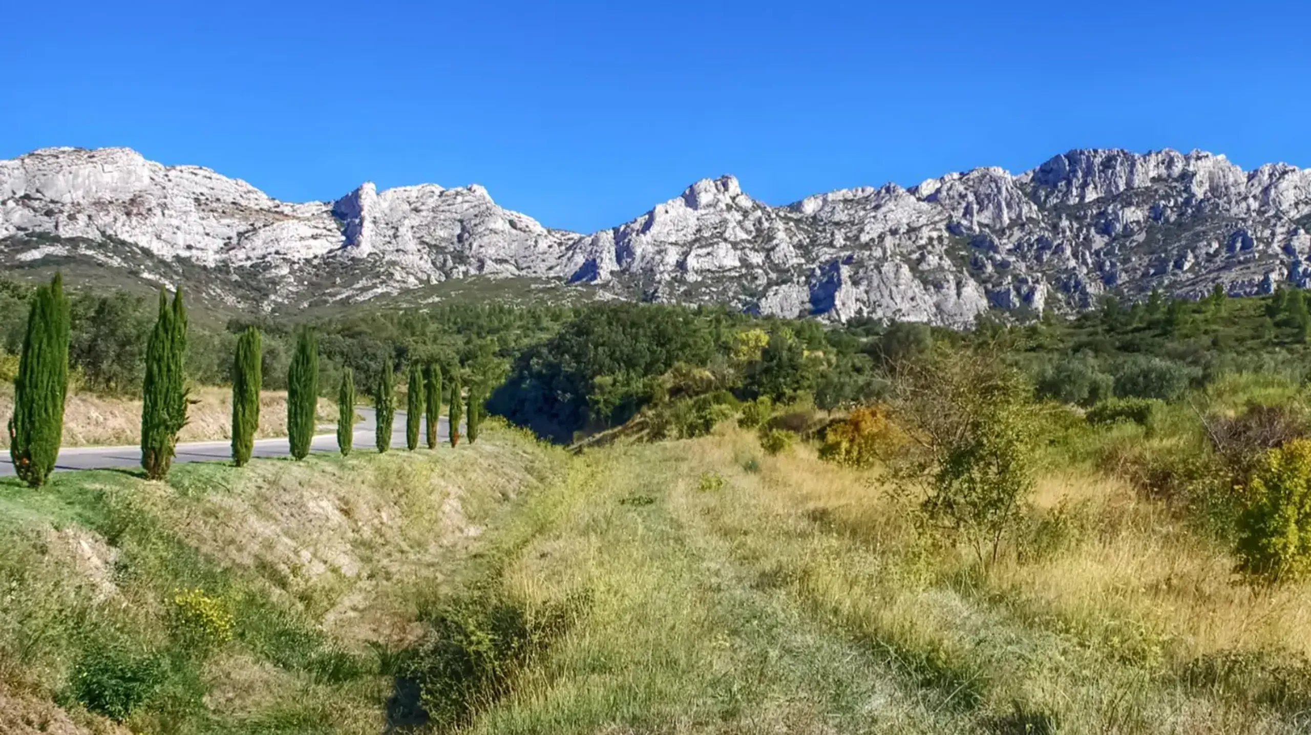 Luxury Villa Background