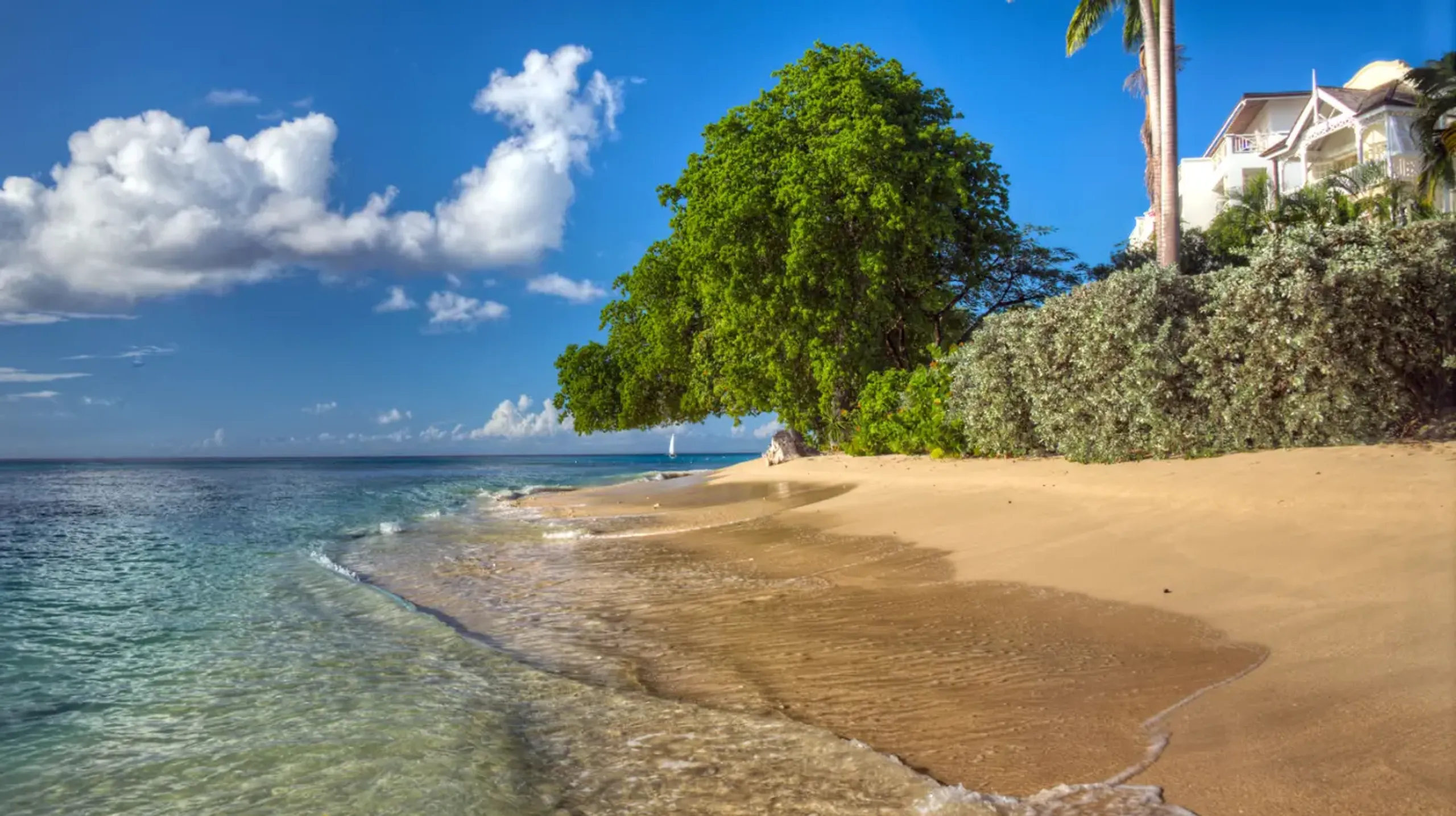 Luxury Villa Background