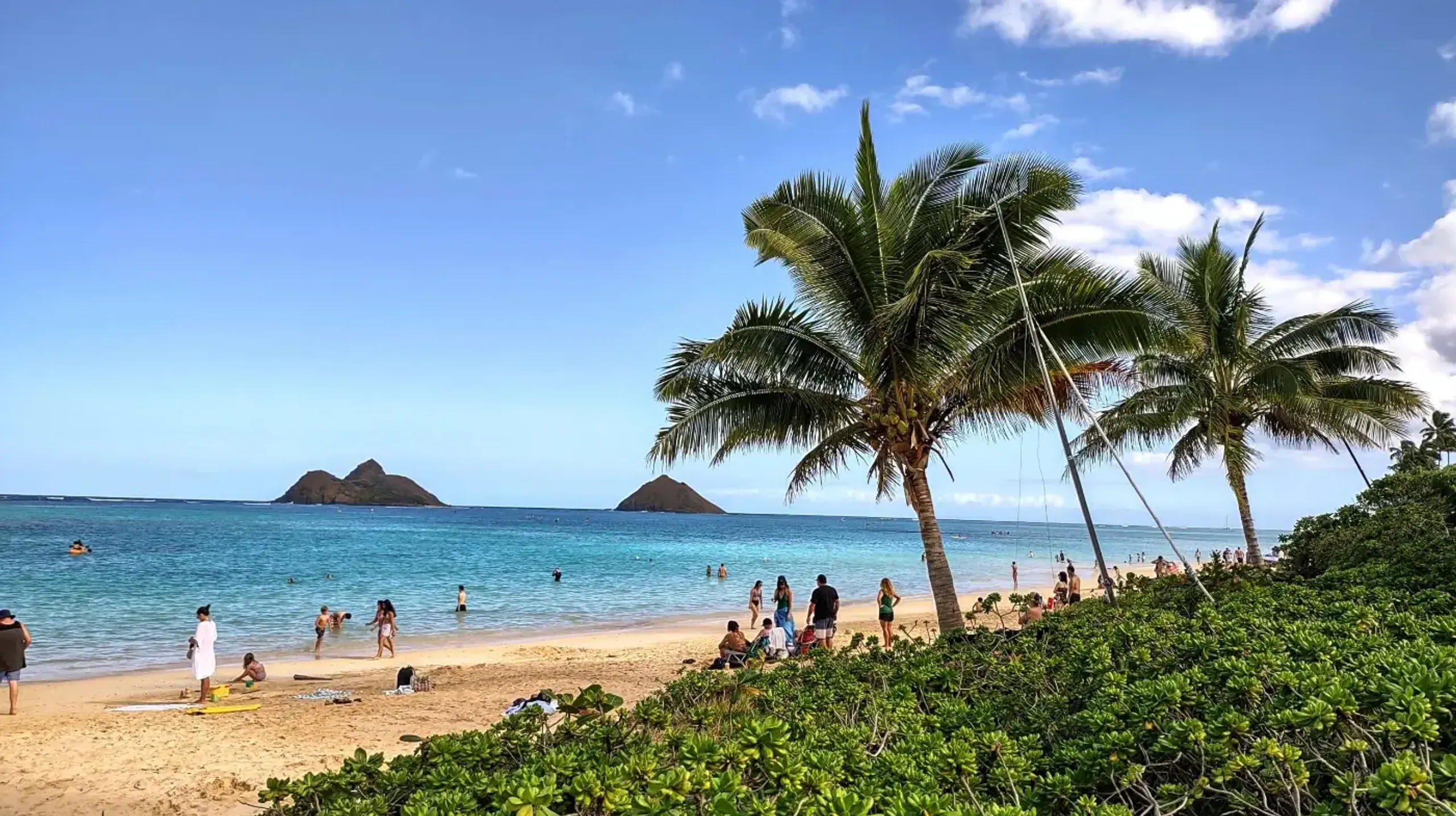 Hero background image