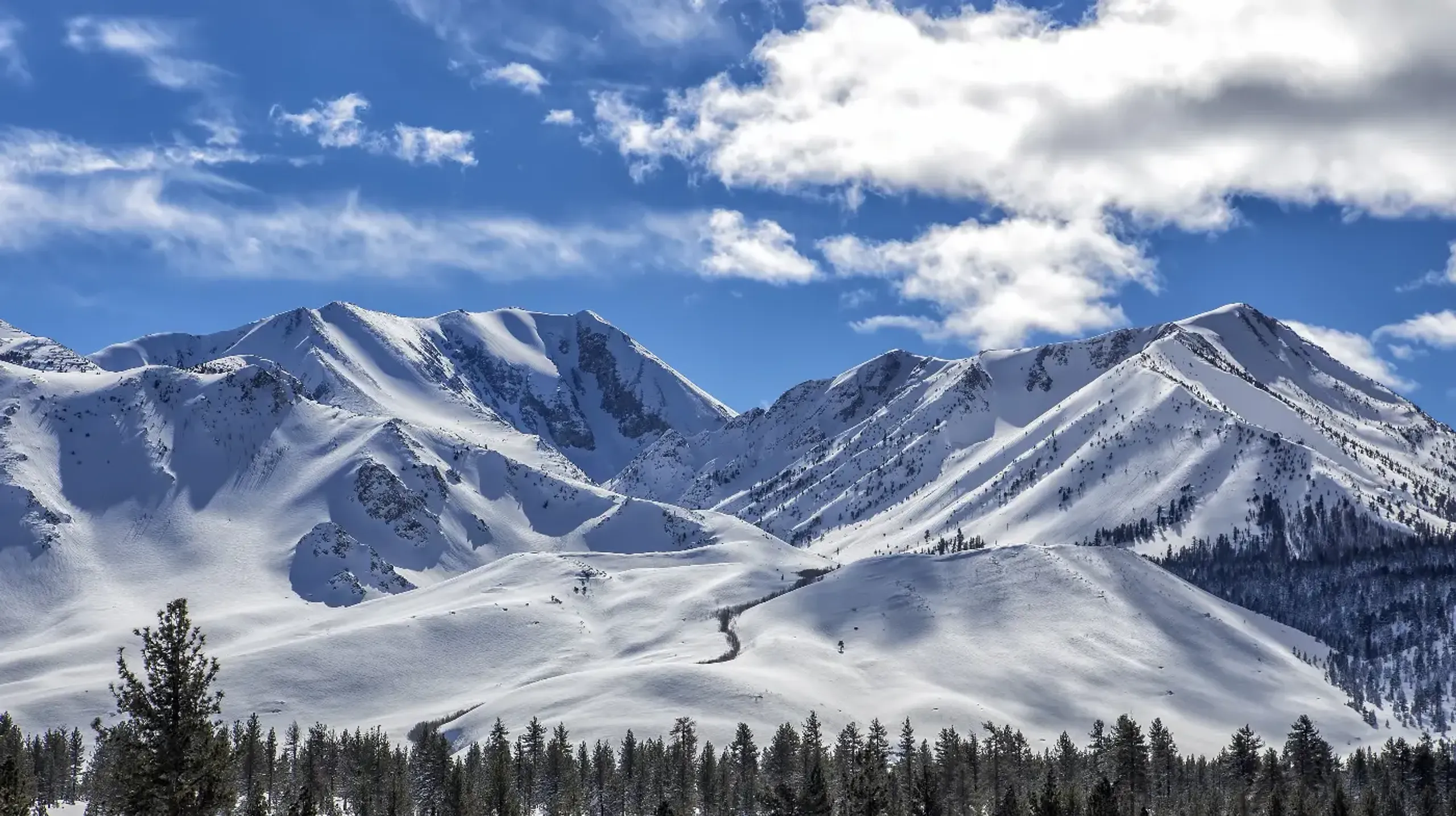 Hero background image