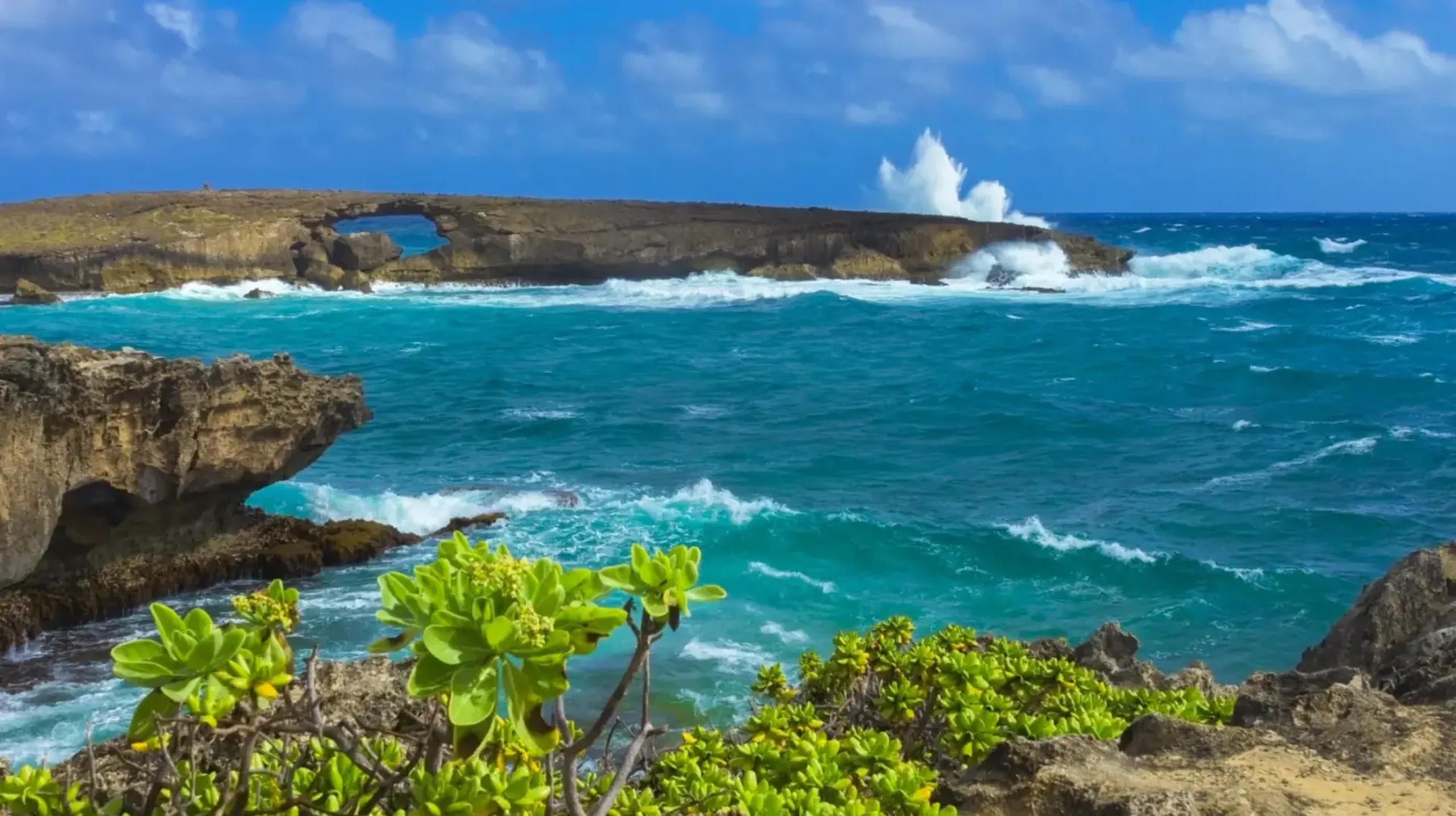 Luxury Villa Background