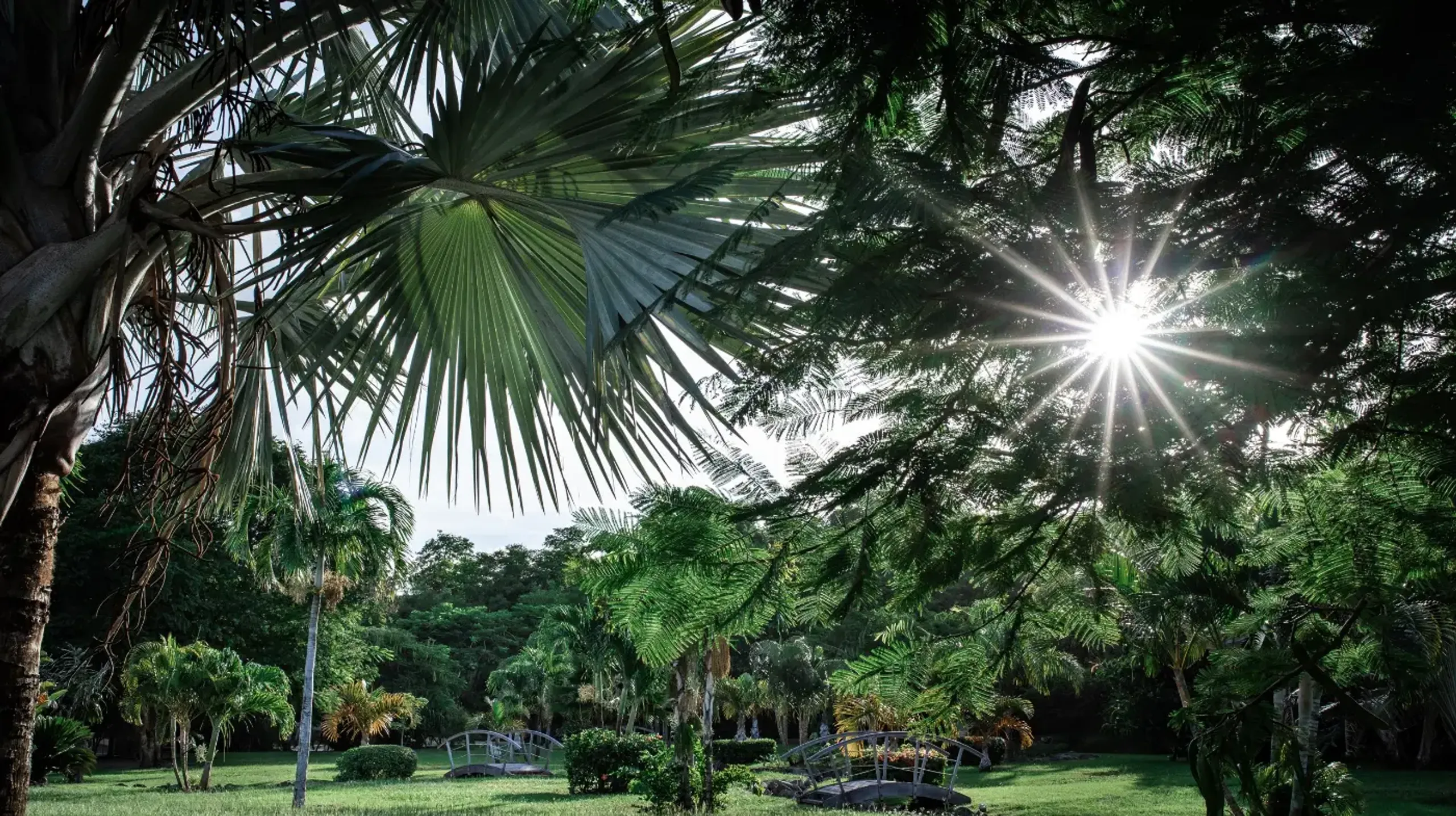 Luxury Villa Background