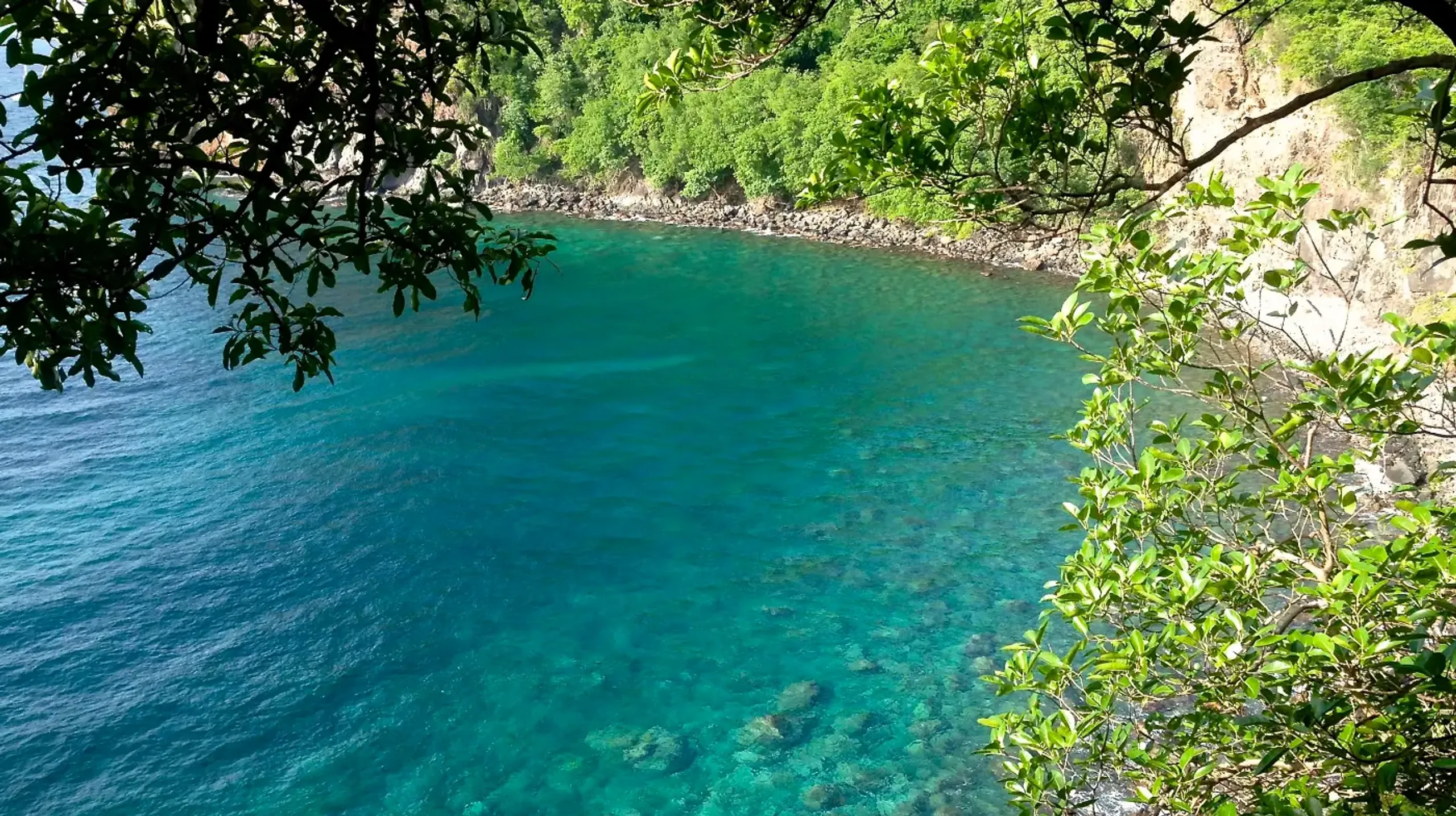 Luxury Villa Background