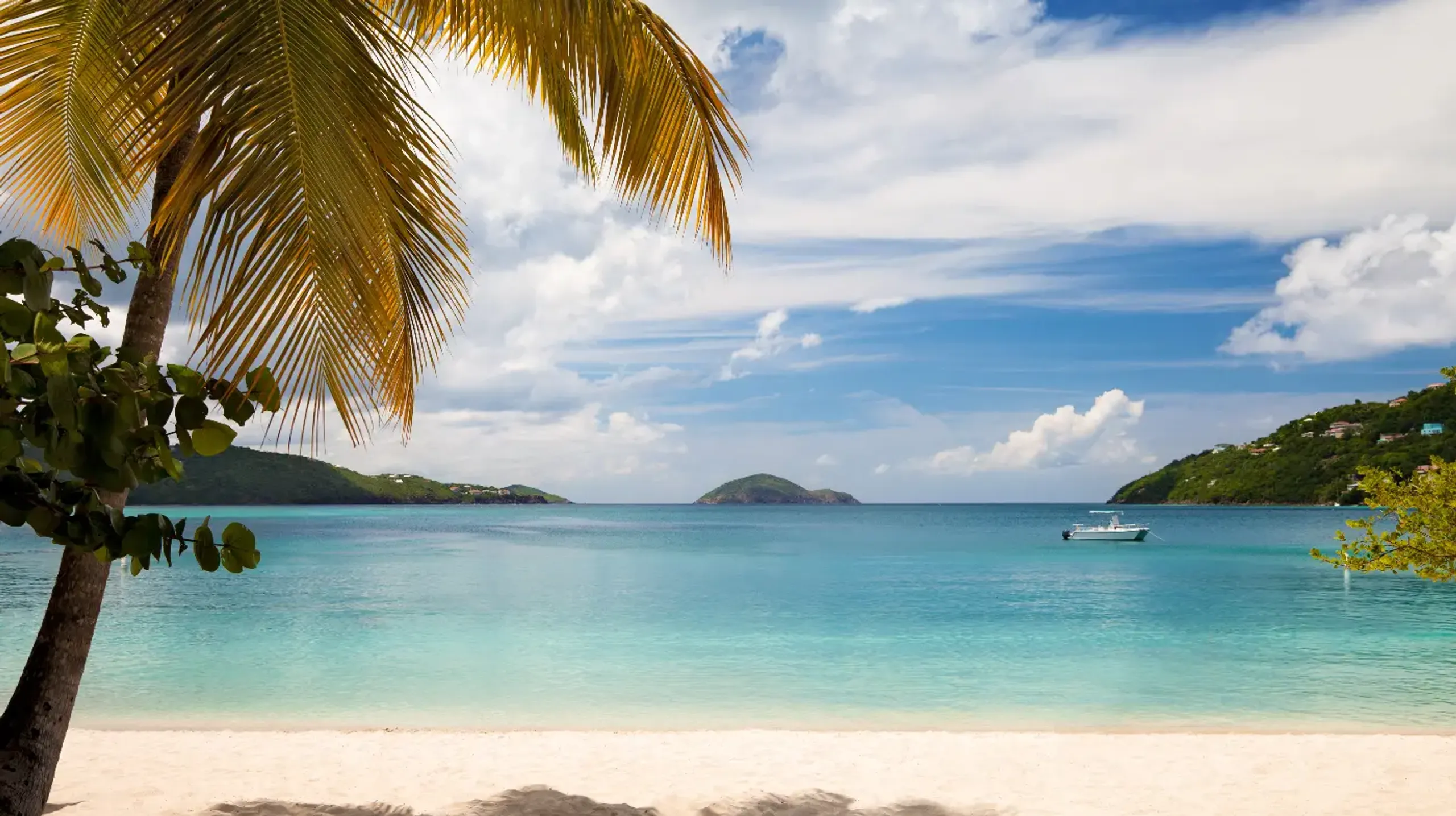 Hero background image