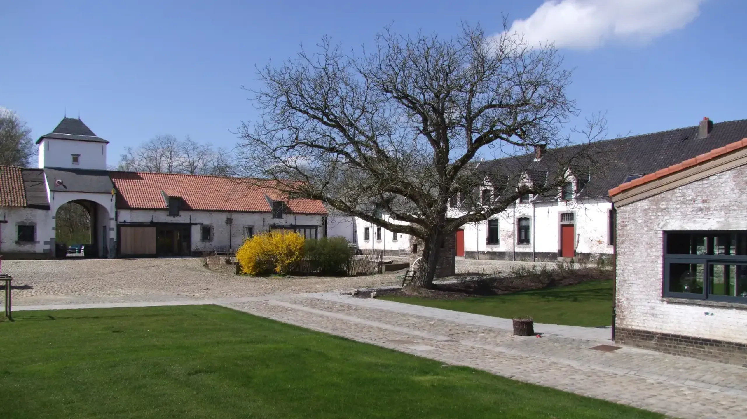 Luxury Villa Background