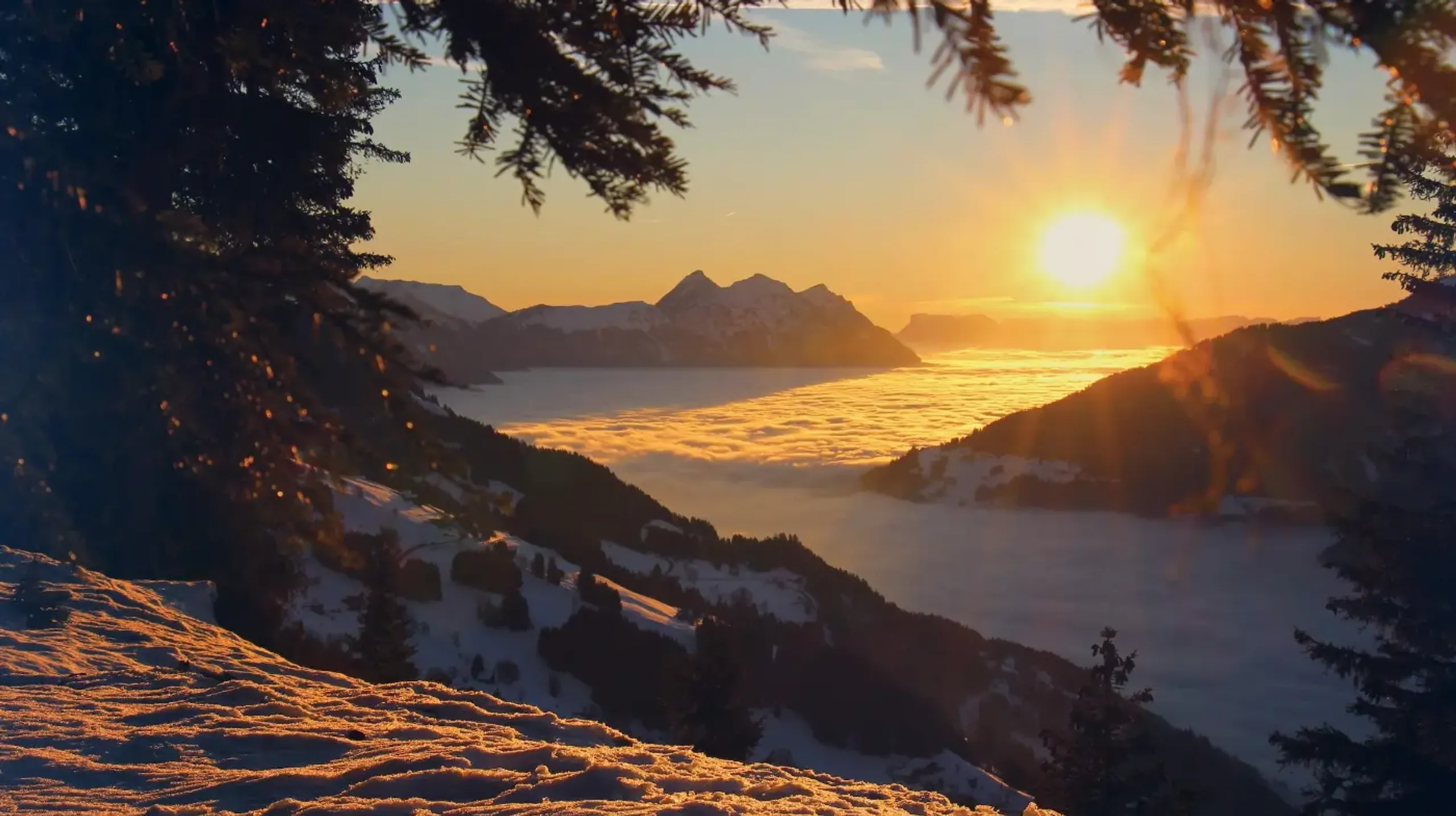 Luxury Villa Background