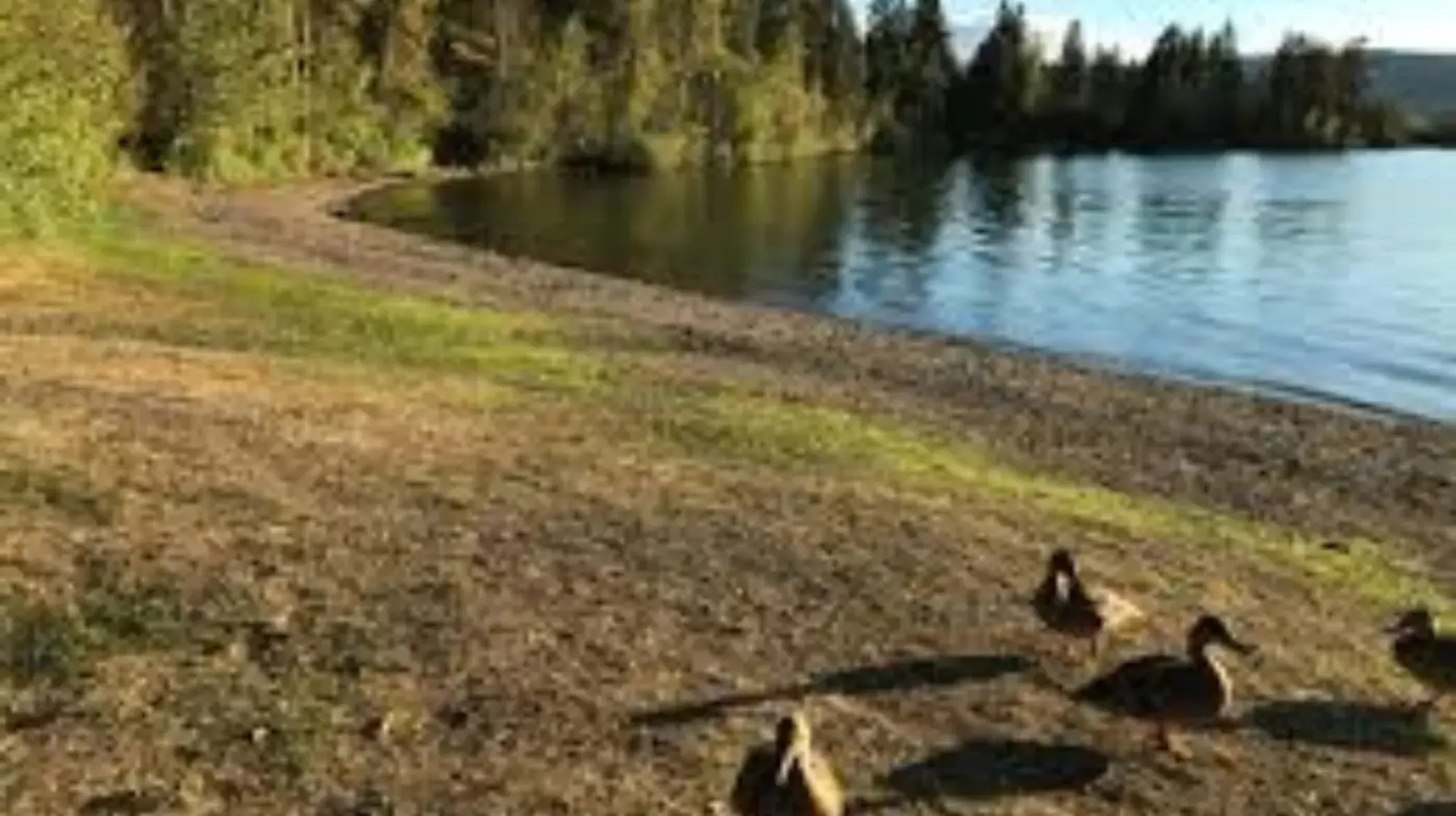 Hero background image