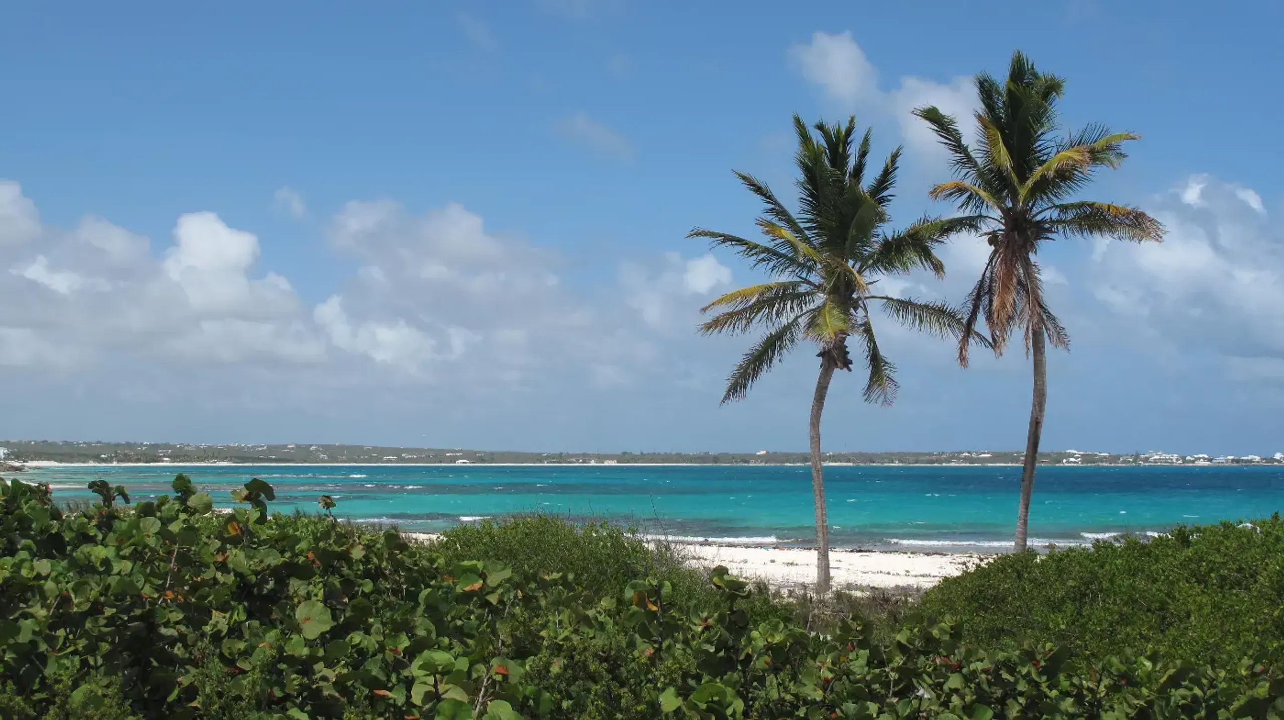 Luxury Villa Background