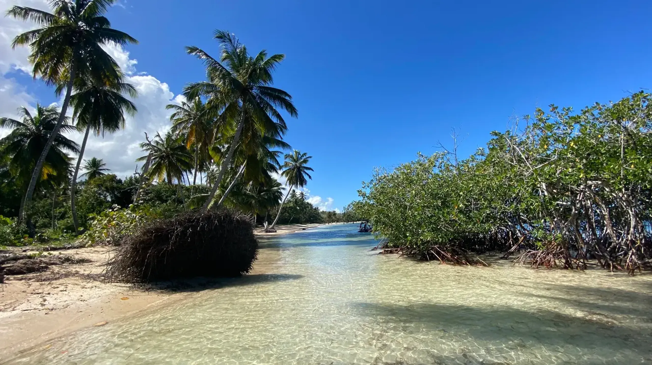 Luxury Villa Background